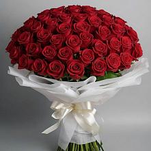 Букет 101 Красная роза Блэк Мэджик в Грачевка