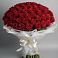 Букет 101 Красная роза Блэк Мэджик в Грачевка