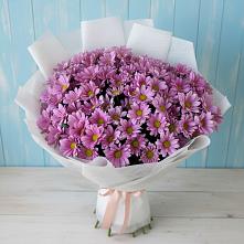 Букет цветов из:  Хризантемы в Грачевка