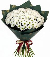 Букет цветов из:  Хризантемы в Грачевка
