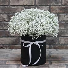 Цветочная композиция из Гипсофила в шляпной коробке #REPLACE_PRED# Грачевка