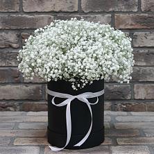 Цветочная композиция из Гипсофила в шляпной коробке в Грачевка