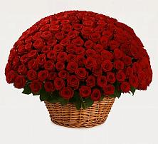 Премиум букет из: Розы в Грачевка