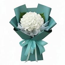Букет цветов из:  Гортензия в Грачевка
